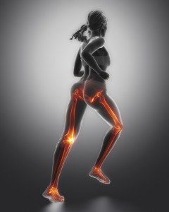 Jogging woman legs anatomy