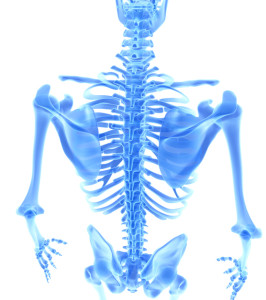 3D illustration of shiny blue skeleton system, medical concept.